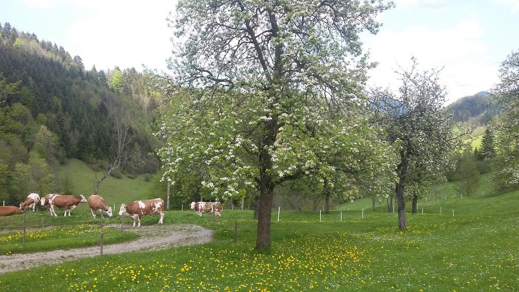 فيلا Eggbauer Sankt Anton an der Jessnitz المظهر الخارجي الصورة